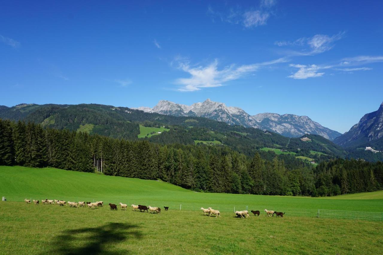 Appartement Winteraugut Werfen Exteriör bild