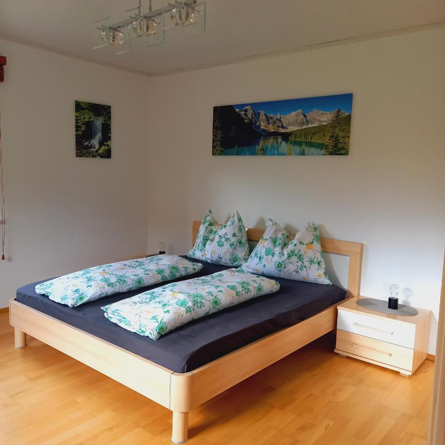 Appartement Winteraugut Werfen Exteriör bild