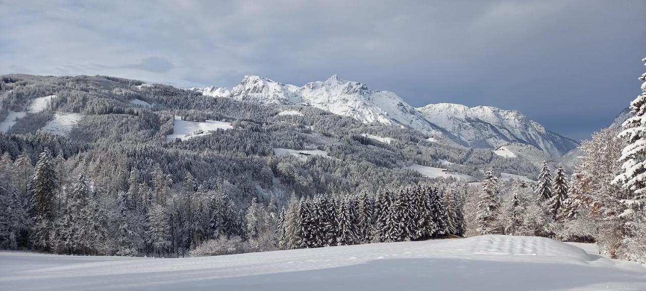 Appartement Winteraugut Werfen Exteriör bild