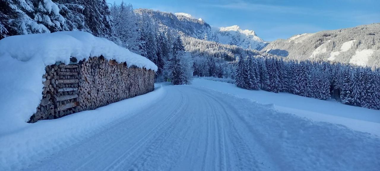 Appartement Winteraugut Werfen Exteriör bild