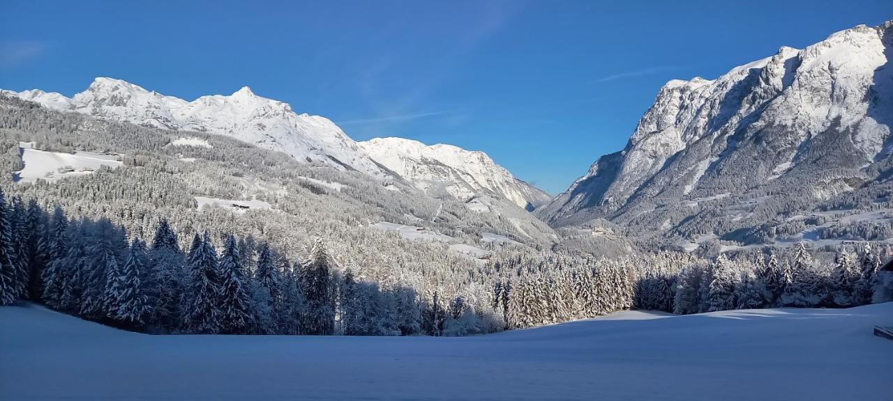 Appartement Winteraugut Werfen Exteriör bild